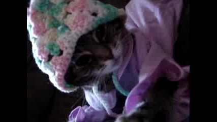 Котка По Пижама - Смях