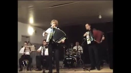 Tomislav Latinkic - zlatna harmonika Srbije 2006