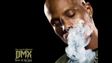 Dmx-party up in here