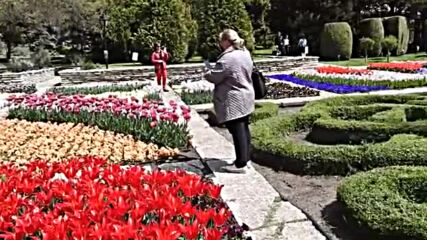 "Моята новина": Пролетна магия от ботаническата градина на Балчик!