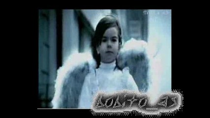 Morandi - Angels