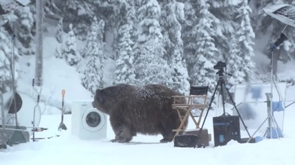 Мечeшка изненада (смях)
