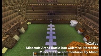 Minecraft Arena Battle Iron Golem vs. Herobrine