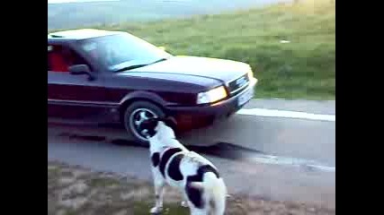 08052009047.mp4