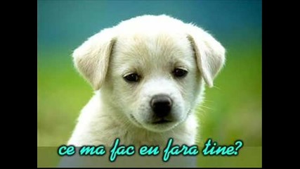 Adrian Copilu Minune - Fiecare Lacrima De a Ta 