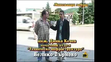 ! Липсващи Зебри Във Велико Търново - 24.06 