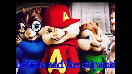 Sheamus and the chipmunks