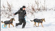 Subzero Temps, Northern Lights and Sled Dogs: The 2015 Iditarod Comes to a Close