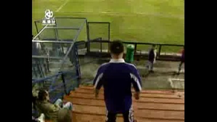 !WoW! Зверско сабаряне