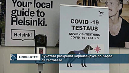 Кучетата разкриват коронавируса по-добре от тестовете