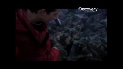 Man vs. Wild - Scotland Skinning Deer 