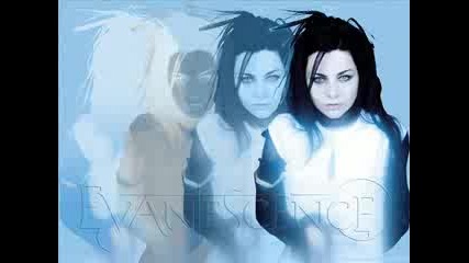 Evanescence - Video Mix
