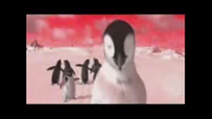 Пингвински Рап