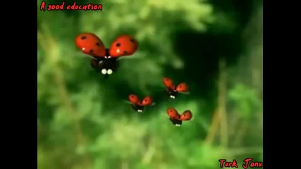 Minuscule Animation Series - A good Education