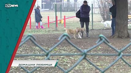 В "Социална мрежа" на 4 ноември от 15:20 ч. ще видите