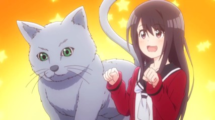 [ Bg Subs ] Senryuu Shoujo - 10