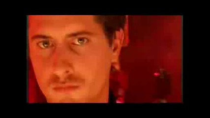 Herbe Mischung.avi