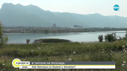 В ТЪРСЕНЕ НА ПРОХЛАДА: Как врачани се борят с жегата?