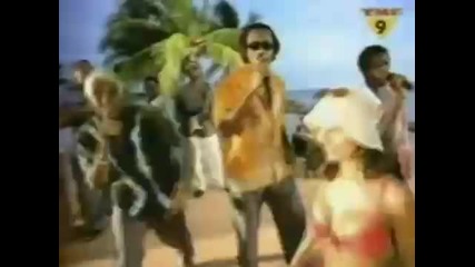 Baha men-who let the dogs out (official)