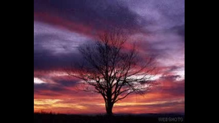 Yanni - Quiet Man(beauty Nature Slow)