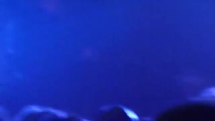 Gotthard ~ The Storys Over ~ Live Firefest 2012