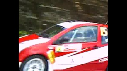Рали Вида 2008