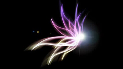 Back-On - Butterfly