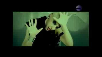Kameliq - cherna krav