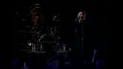 The Cult - Wild Flower - Live 2001 