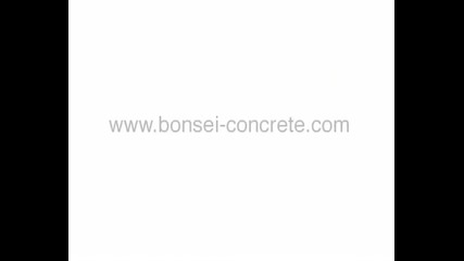 Bonsei Concrete Fingerboard Ramps 