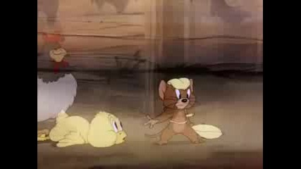 Tom And Jerry - Fine Feather Friend