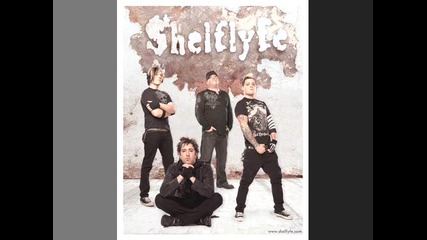 shelflyfe - shut out the world