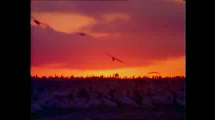 Talk Talk - Its My Life 