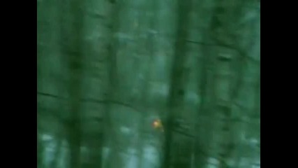 Tatu - Not Gonna Get Us (remix) [dvdrip]
