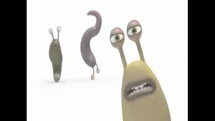 Crazy Worms 