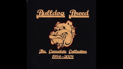 Bulldog Breed - Straight Edge