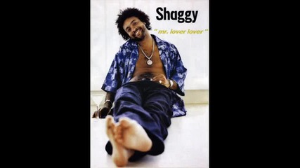 Shaggy-mr. Bombastik