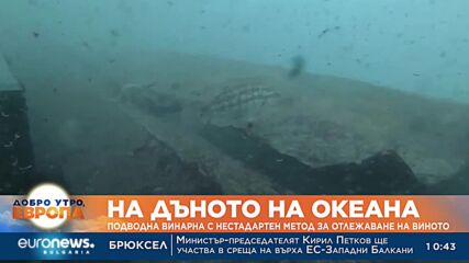 Подводна винарна с нестандартен метод за отлежаване на виното