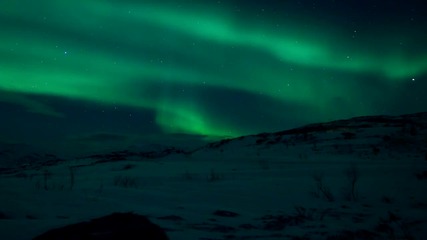Arctic Motion