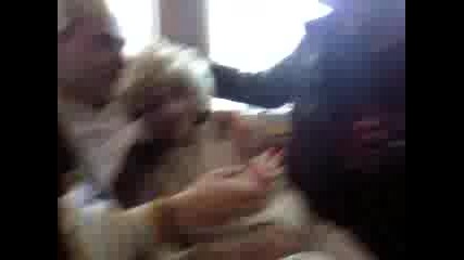Видео011.mp4