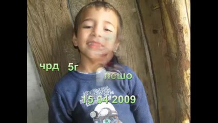 чрд пешо 5г.mpg