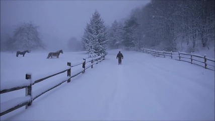 Dean Martin - Let it Snow