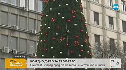 Елха за 83 000 евро възмути жителите на Белград