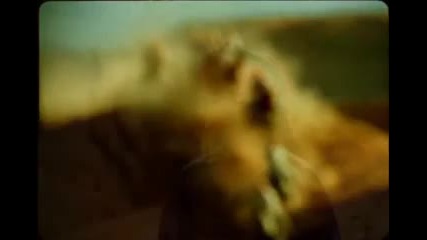 Era - Miseri Mani