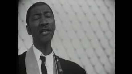 Hound Dog Taylor & Little Walter - Wild About you baby