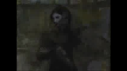 Charmed - Monster Mash