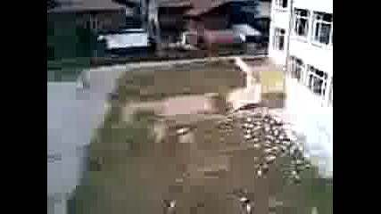 Видео001.3gp