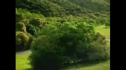 Ужасна катастрофа 