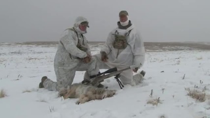 Predator Hunting