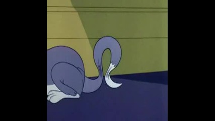 Tom and Jerry - Of Feline Bondage
